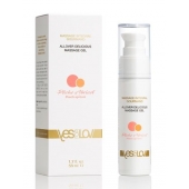 Универсальный массажный гель-смазка Allover Delicious Massage Gel с ароматом персика и аброкоса - 50 мл. - YESforLOV - купить с доставкой в Первоуральске