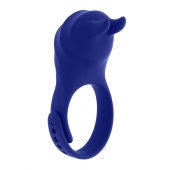 Синее эрекционное виброкольцо с клиторальной подушечкой и пультом ДУ Adjustable Fun Ring - Zero Tolerance - в Первоуральске купить с доставкой
