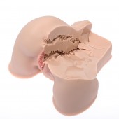 Мастурбатор-полуторс Naked Factory Kate - Naked Factory - в Первоуральске купить с доставкой