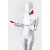 Красный ошейник с подкладкой из меха - ToyFa - купить с доставкой в Первоуральске