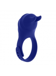 Синее эрекционное виброкольцо с клиторальной подушечкой и пультом ДУ Adjustable Fun Ring - Zero Tolerance - в Первоуральске купить с доставкой