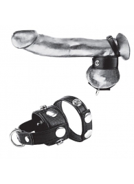 Утяжка для мошонки и пениса Cock Ring With 1  Ball Stretcher And Optional Weight Ring - BlueLine - купить с доставкой в Первоуральске