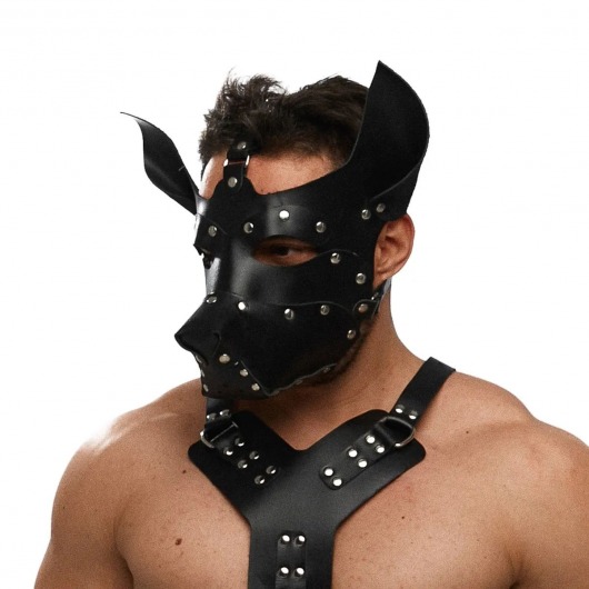 Черная кожаная маска «Собака» - Crazy Handmade - купить с доставкой в Первоуральске