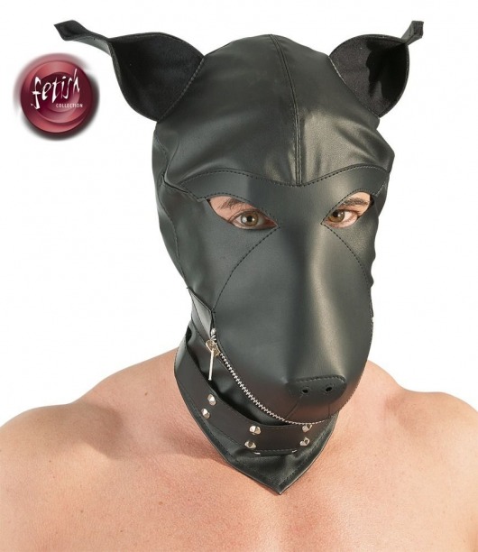 Шлем-маска Dog Mask в виде морды собаки - Orion - купить с доставкой в Первоуральске