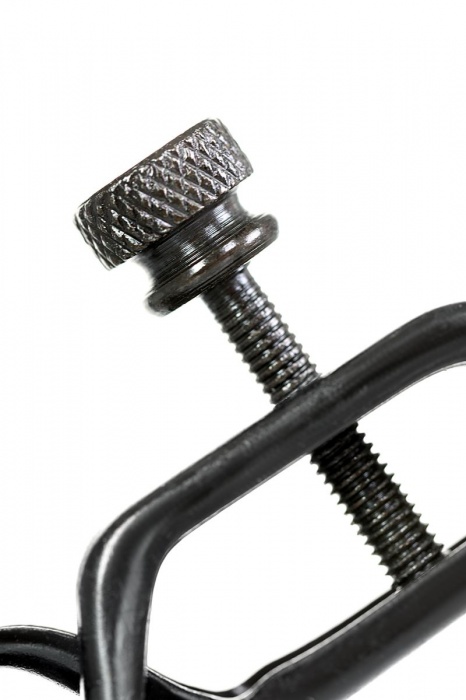 Черно-золотистые зажимы для сосков TOYFA Theatre - ToyFa - купить с доставкой в Первоуральске