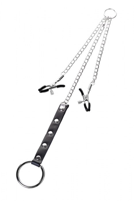 Серебристо-чёрные зажимы для сосков с кольцом для пениса TOYFA Metal - ToyFa - купить с доставкой в Первоуральске