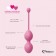 Набор из 3 розовых вагинальных шариков FemmeFit Advanced Pelvic Muscle Training Set - FeelzToys в Первоуральске Набор из 3 розовых вагинальных шариков FemmeFit Advanced Pelvic Muscle Training Set - FeelzToys